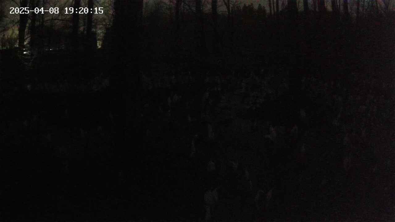 mizubasho1-20250408192015.jpg