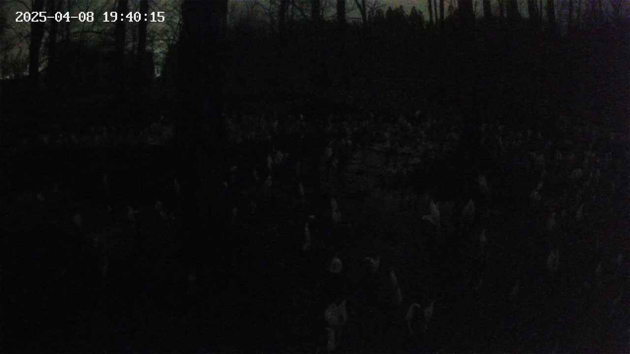 mizubasho1-20250408194016.jpg