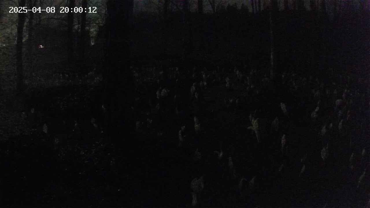 mizubasho1-20250408200013.jpg