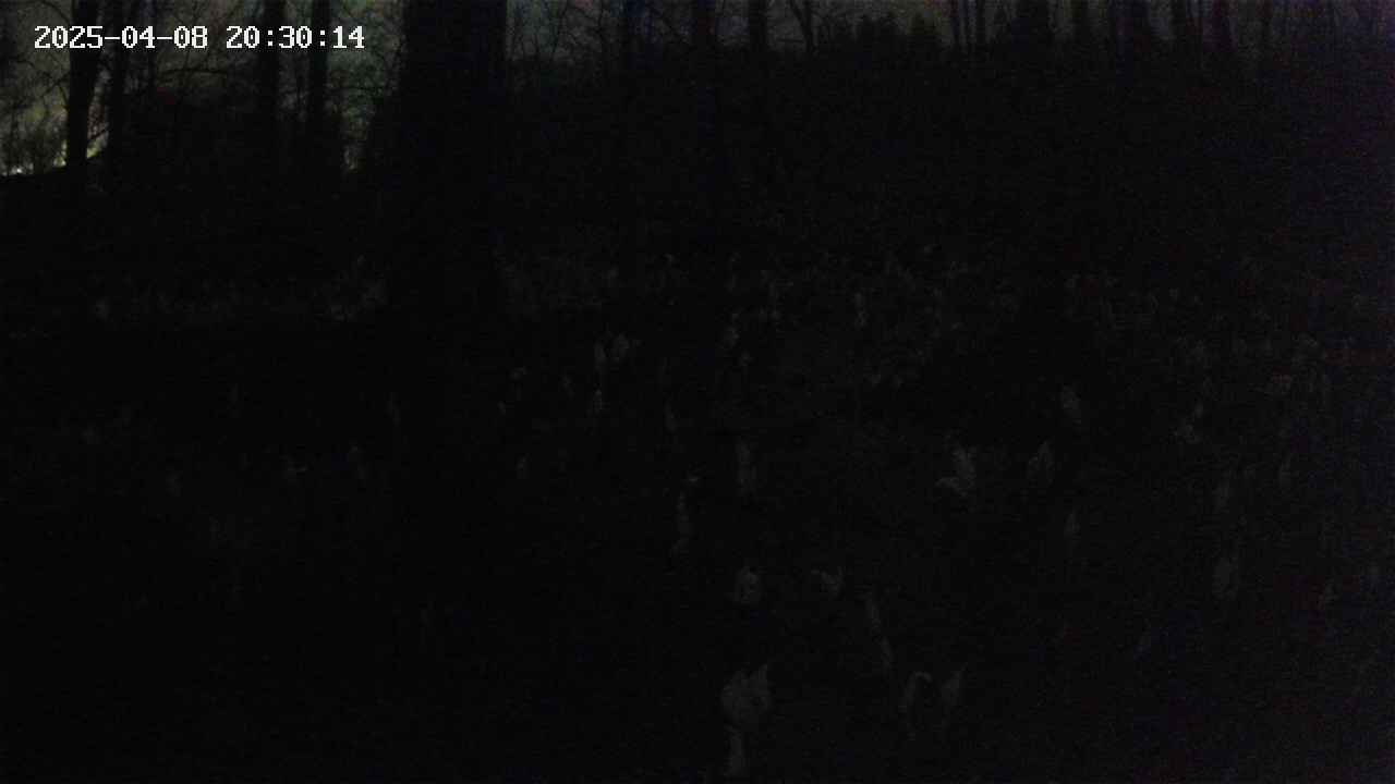 mizubasho1-20250408203015.jpg