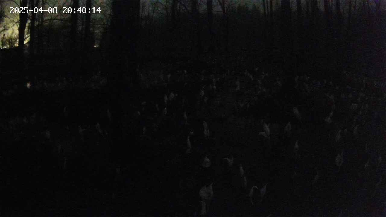 mizubasho1-20250408204015.jpg