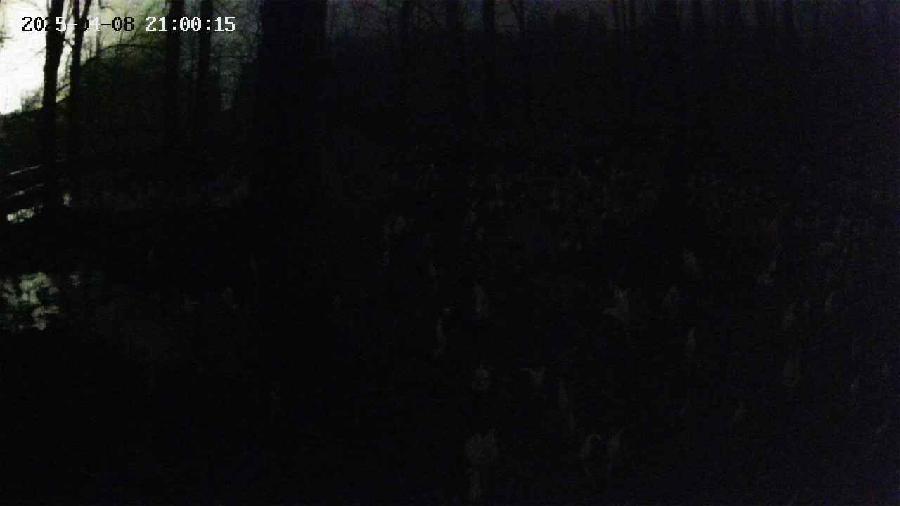 mizubasho1-20250408210016.jpg