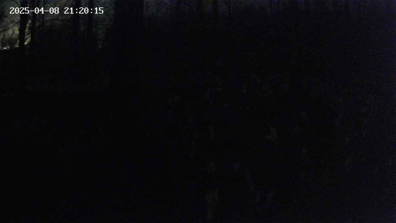 mizubasho1-20250408212016.jpg