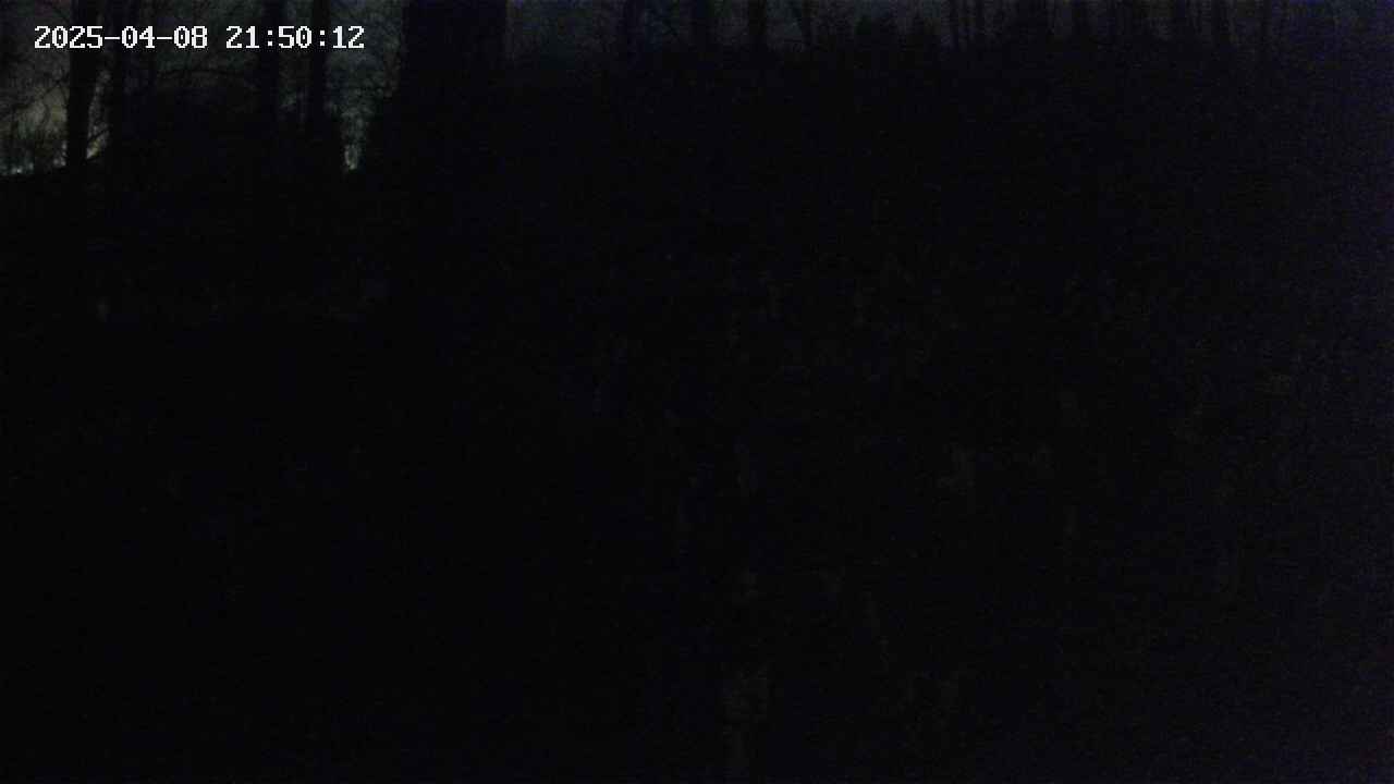 mizubasho1-20250408215013.jpg