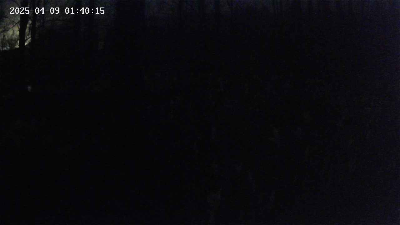mizubasho1-20250409014015.jpg
