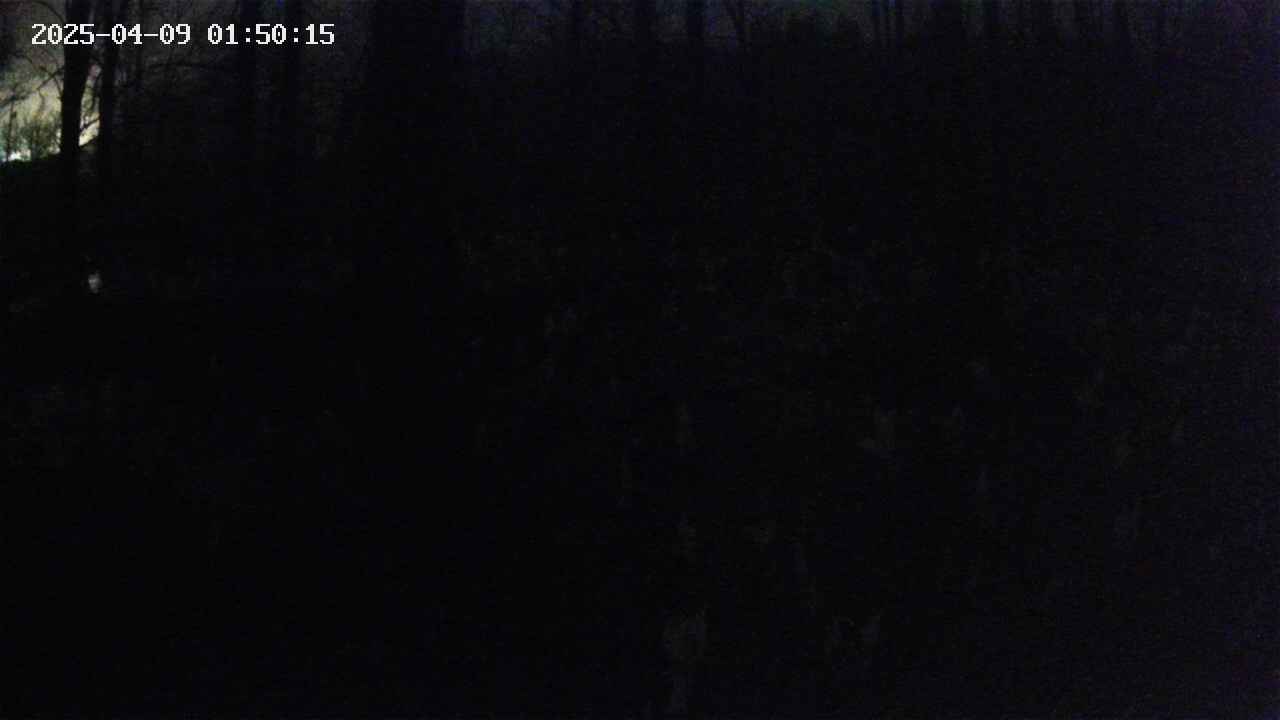 mizubasho1-20250409015016.jpg