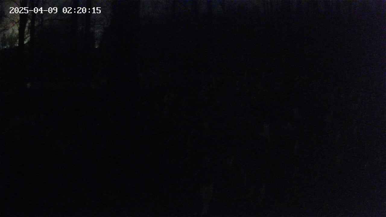 mizubasho1-20250409022015.jpg
