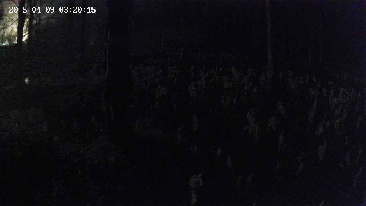 mizubasho1-20250409032016.jpg
