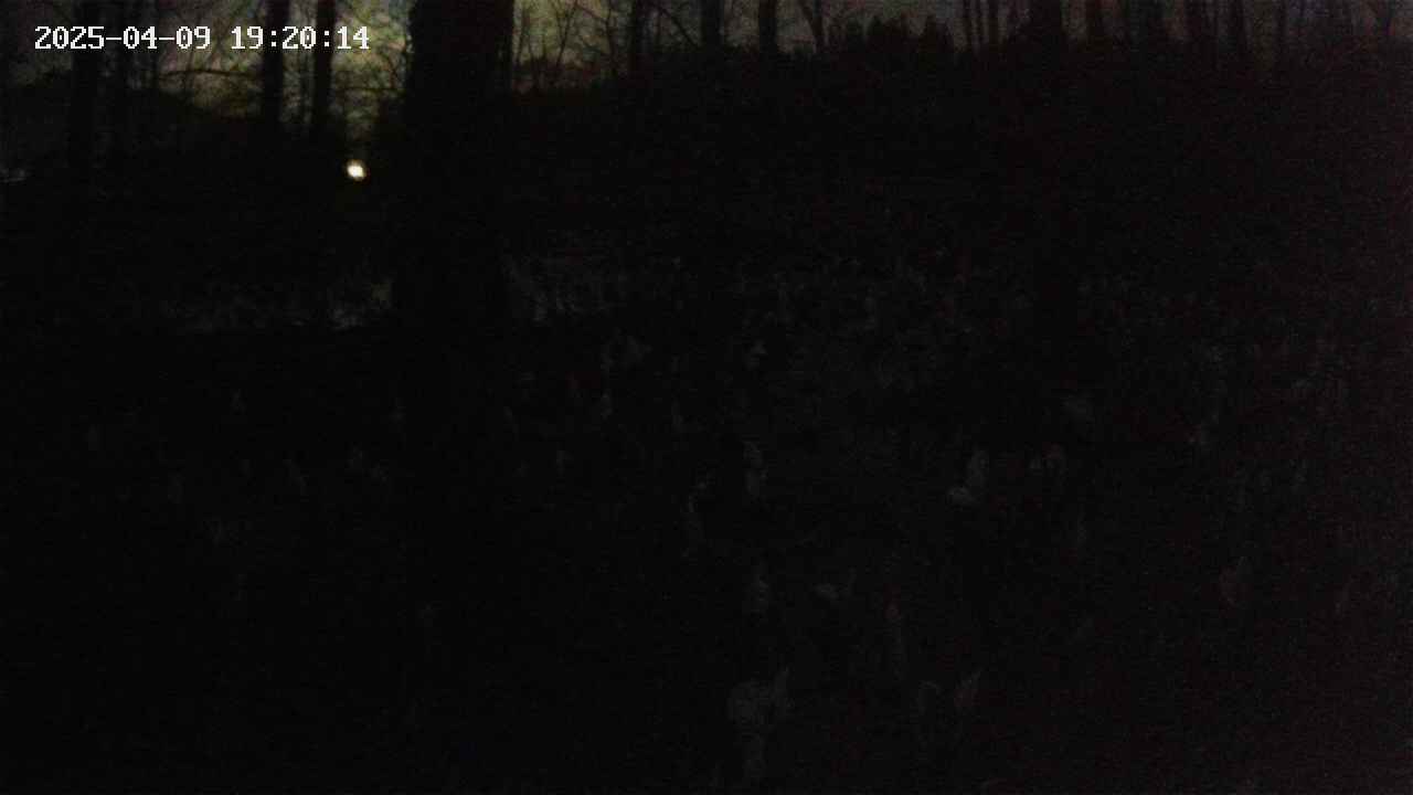 mizubasho1-20250409192014.jpg