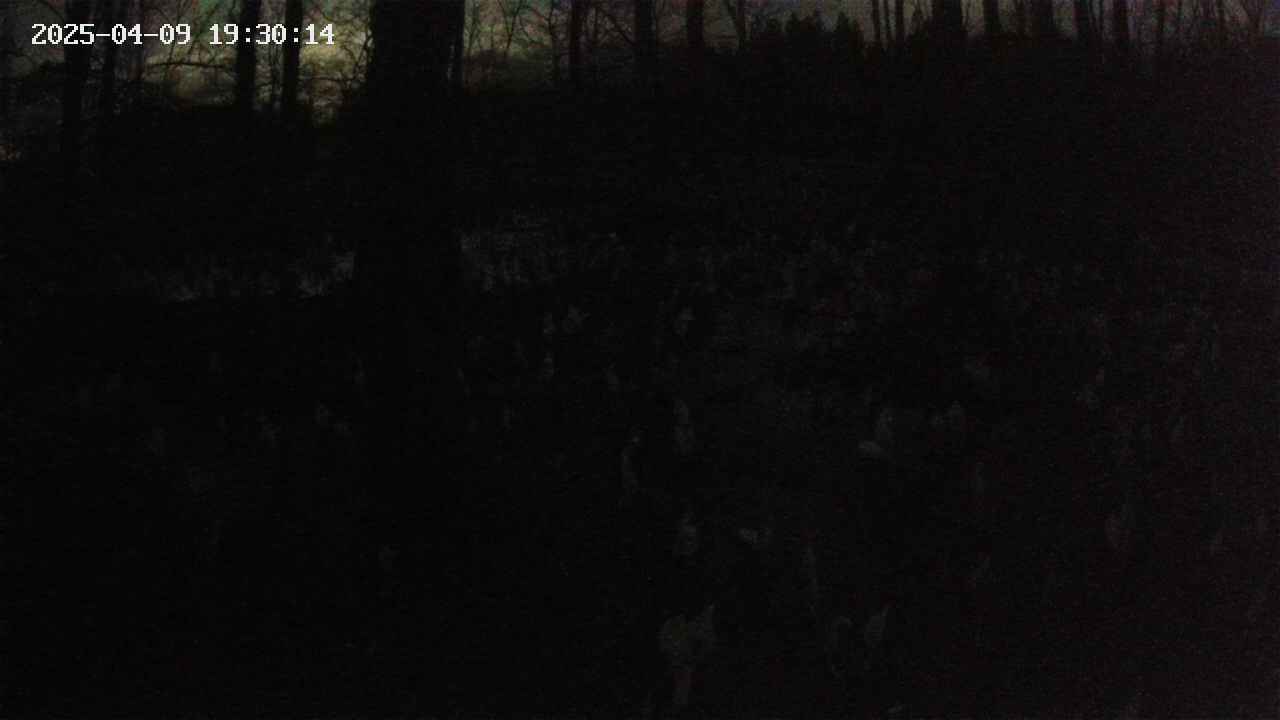 mizubasho1-20250409193015.jpg