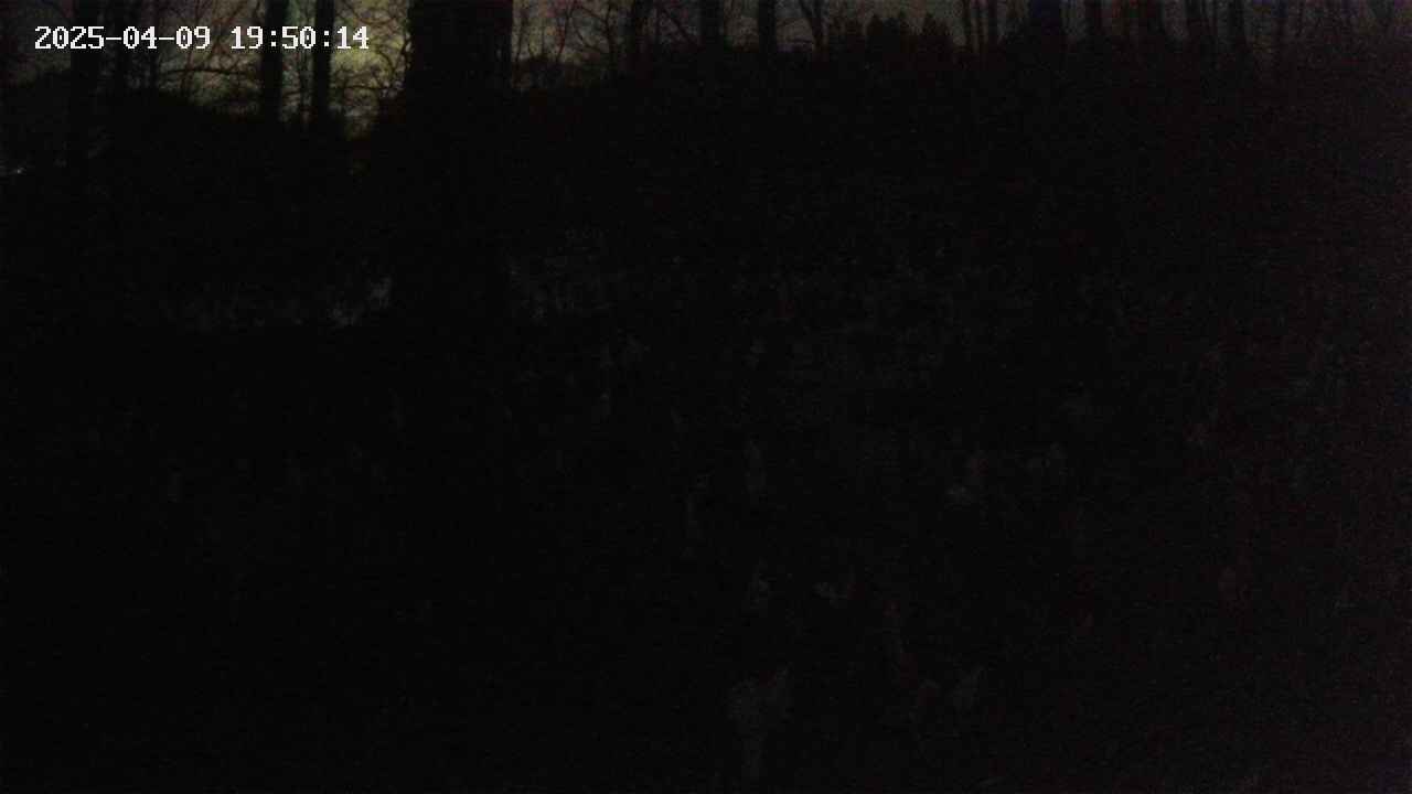 mizubasho1-20250409195015.jpg