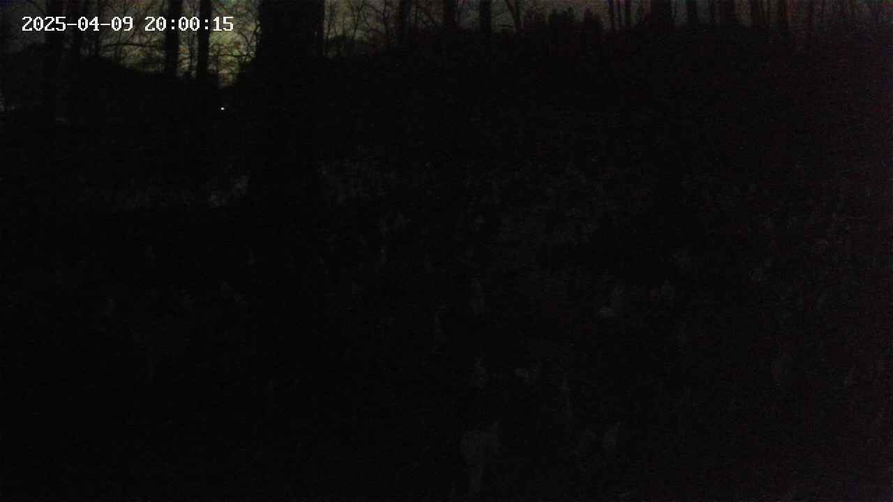 mizubasho1-20250409200016.jpg