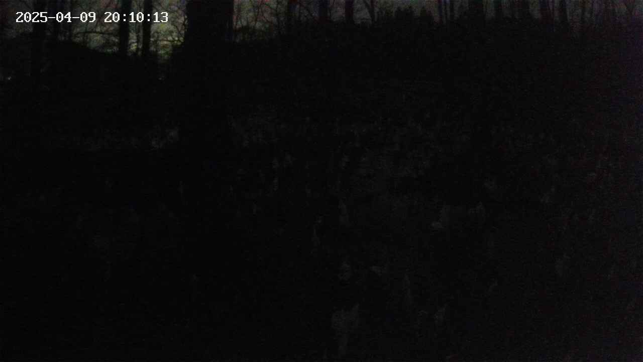 mizubasho1-20250409201013.jpg