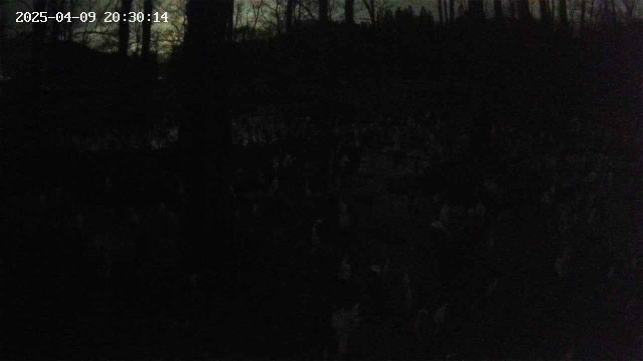 mizubasho1-20250409203015.jpg