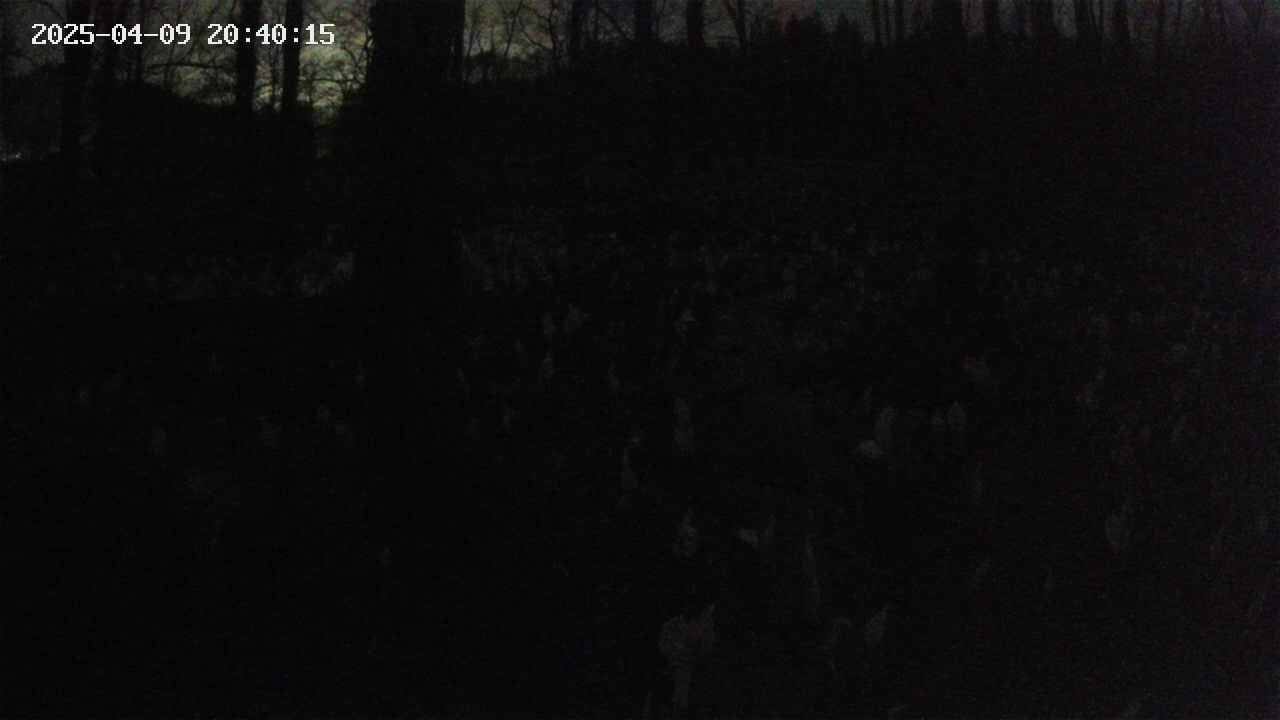 mizubasho1-20250409204016.jpg