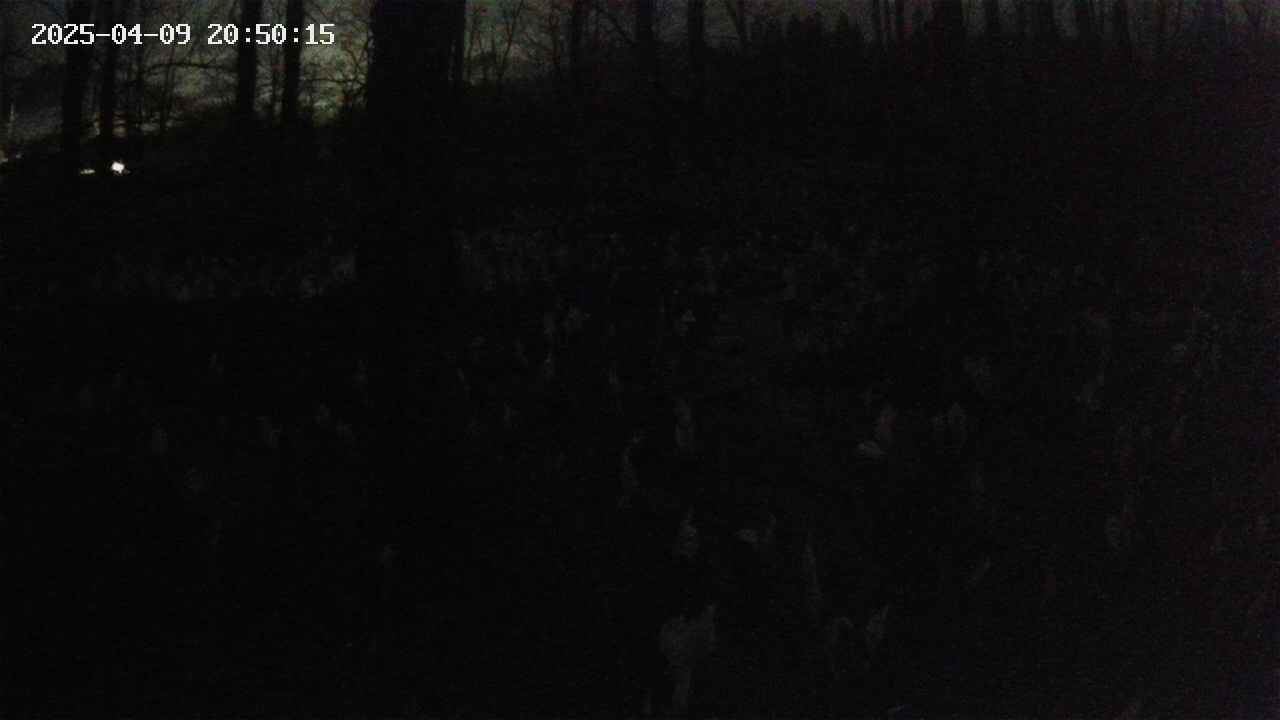 mizubasho1-20250409205016.jpg