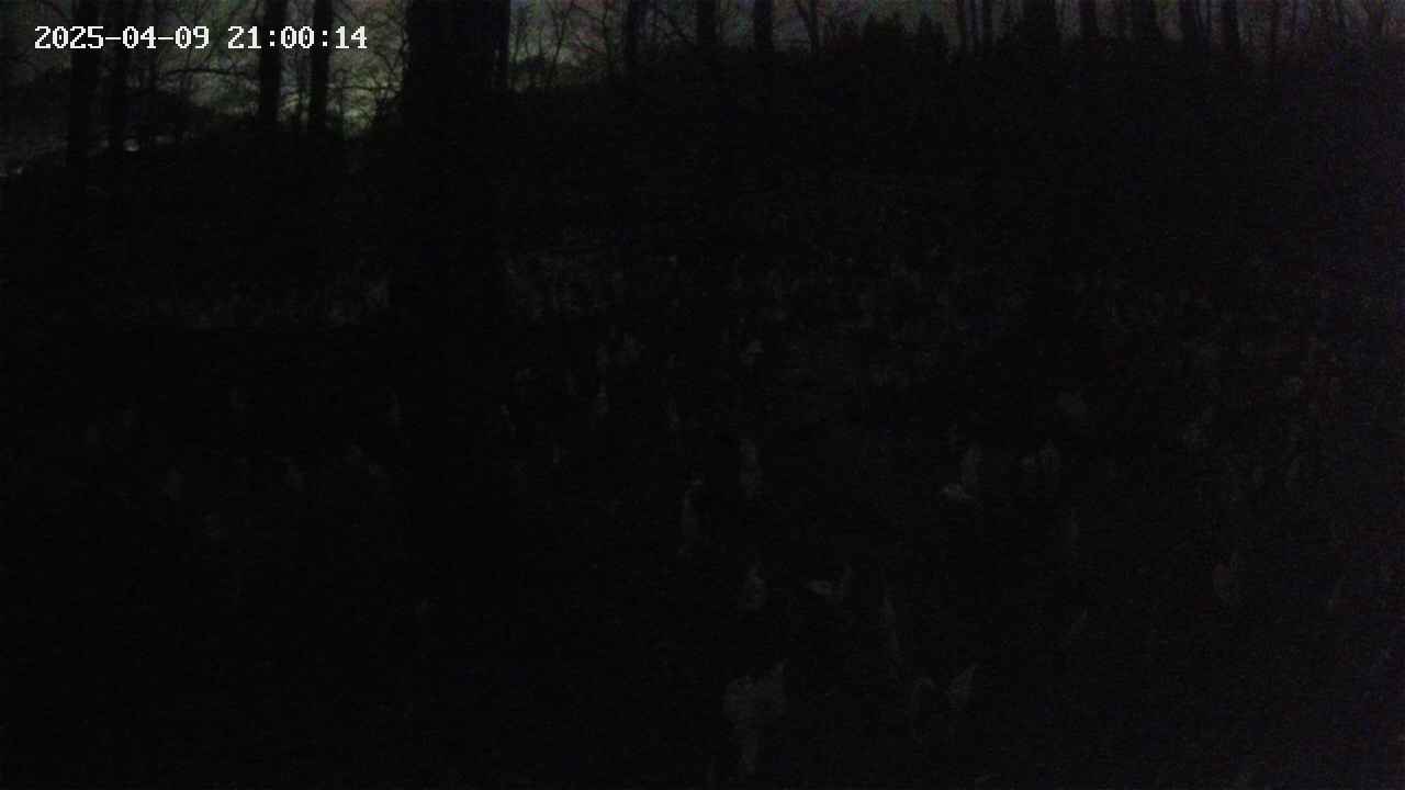 mizubasho1-20250409210015.jpg