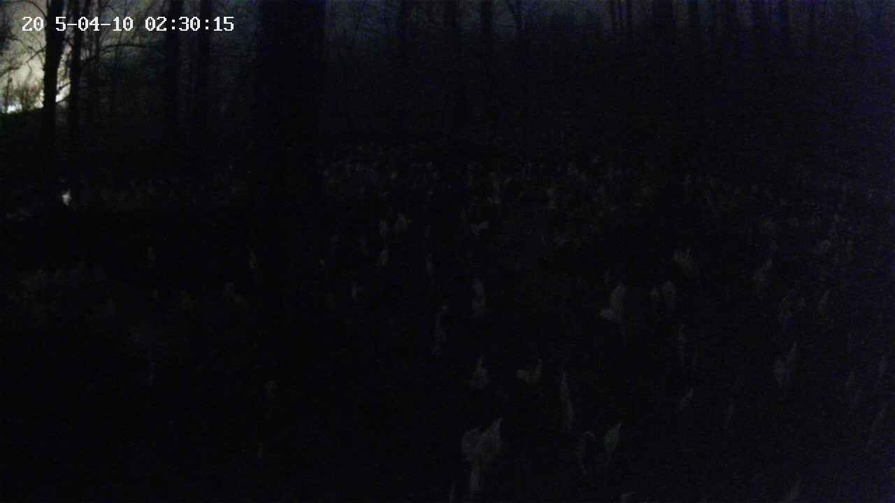 mizubasho1-20250410023015.jpg