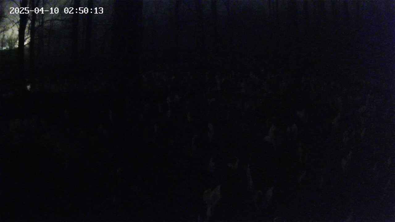 mizubasho1-20250410025013.jpg