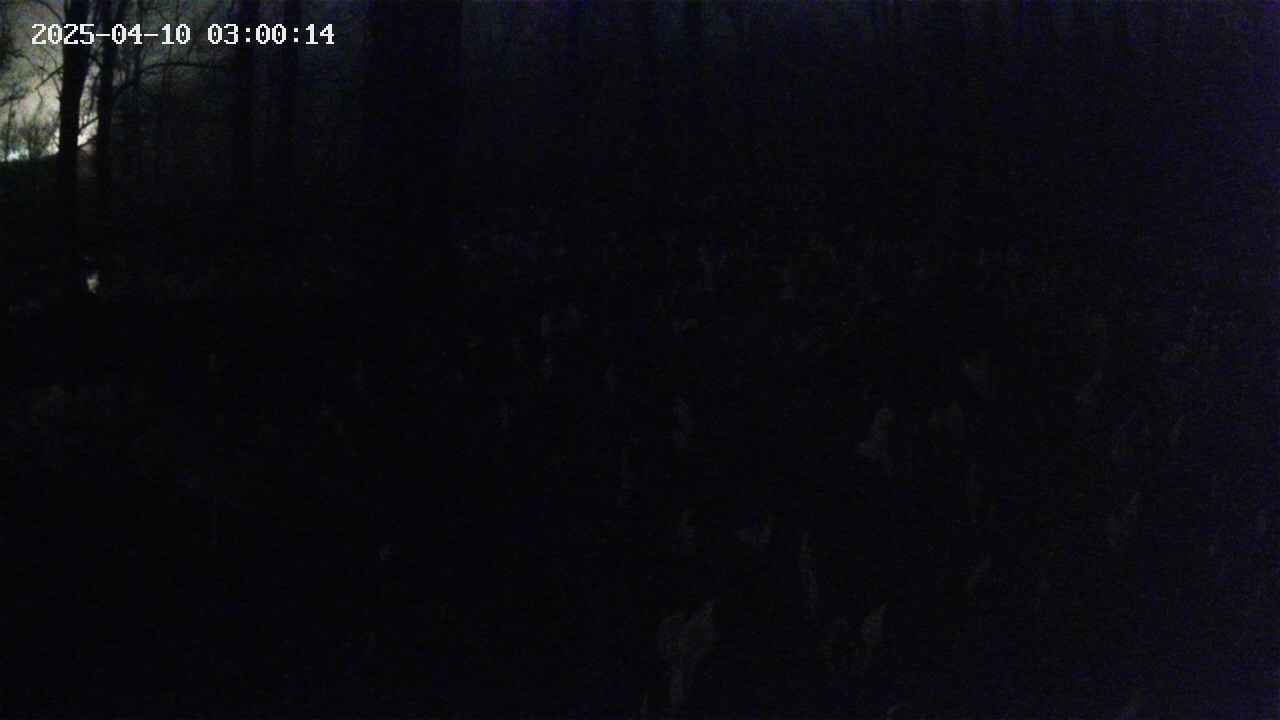 mizubasho1-20250410030015.jpg