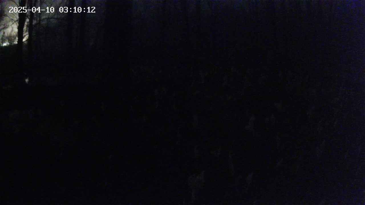 mizubasho1-20250410031013.jpg