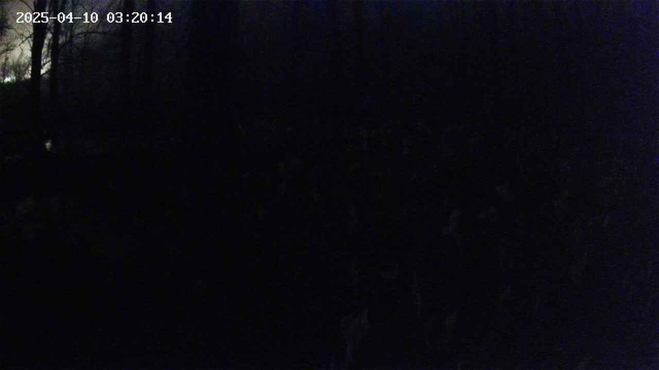 mizubasho1-20250410032014.jpg