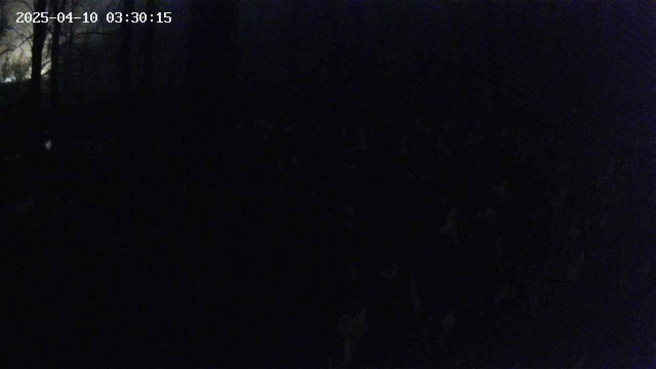 mizubasho1-20250410033016.jpg