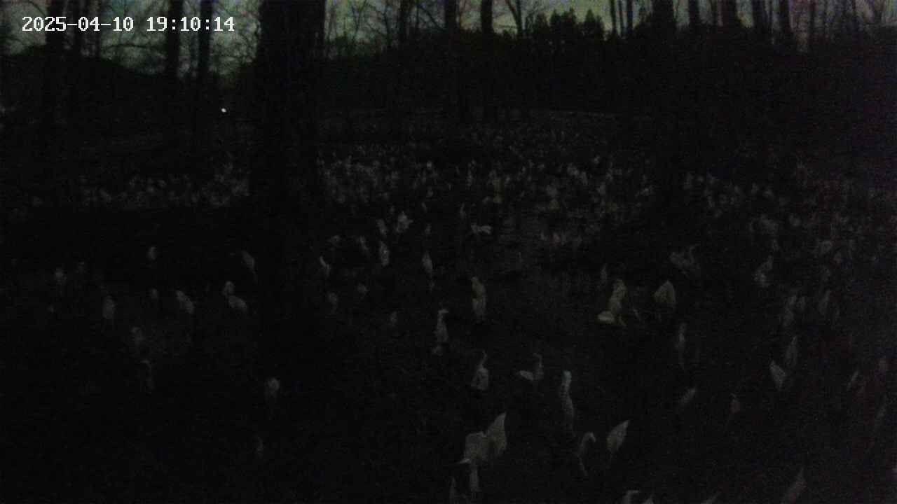 mizubasho1-20250410191015.jpg