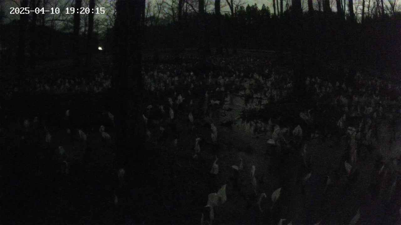 mizubasho1-20250410192016.jpg