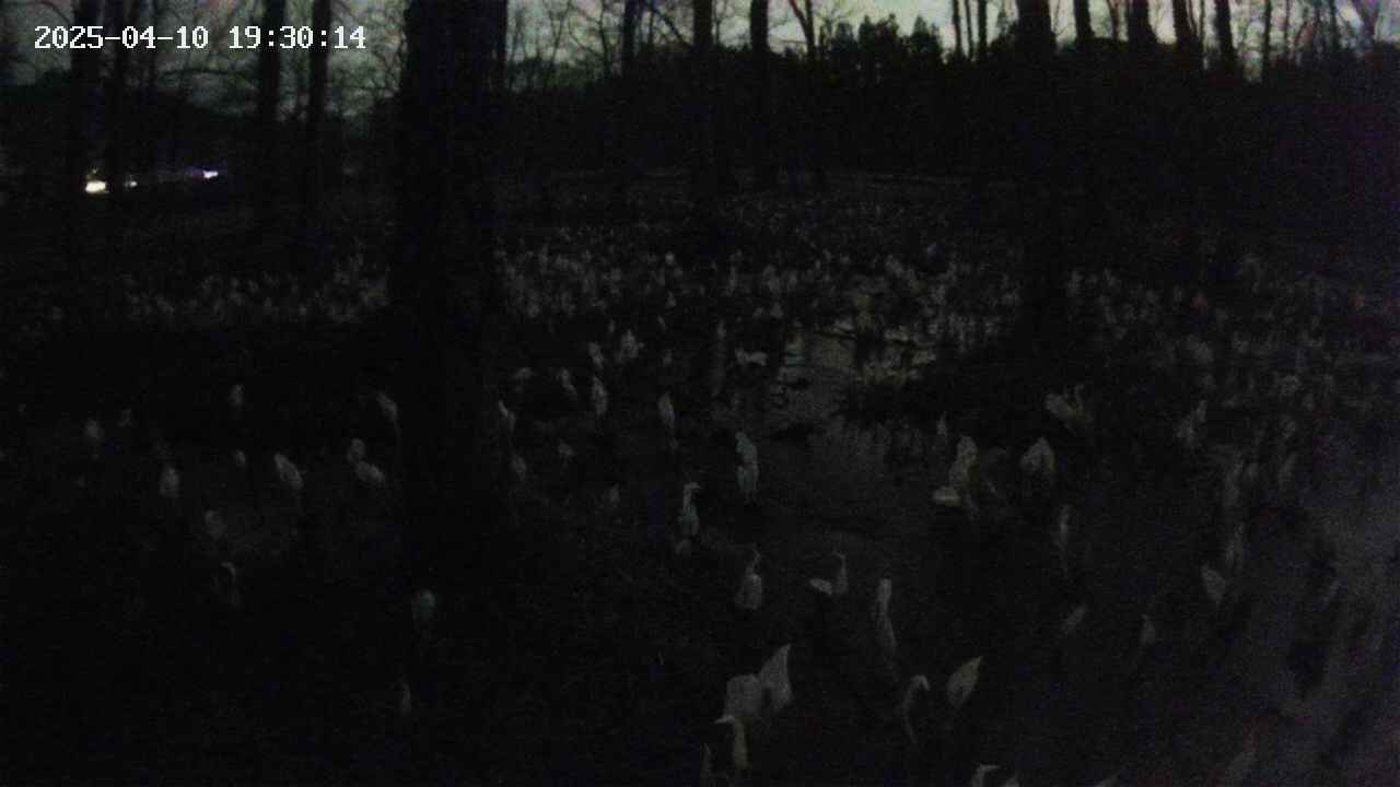 mizubasho1-20250410193015.jpg