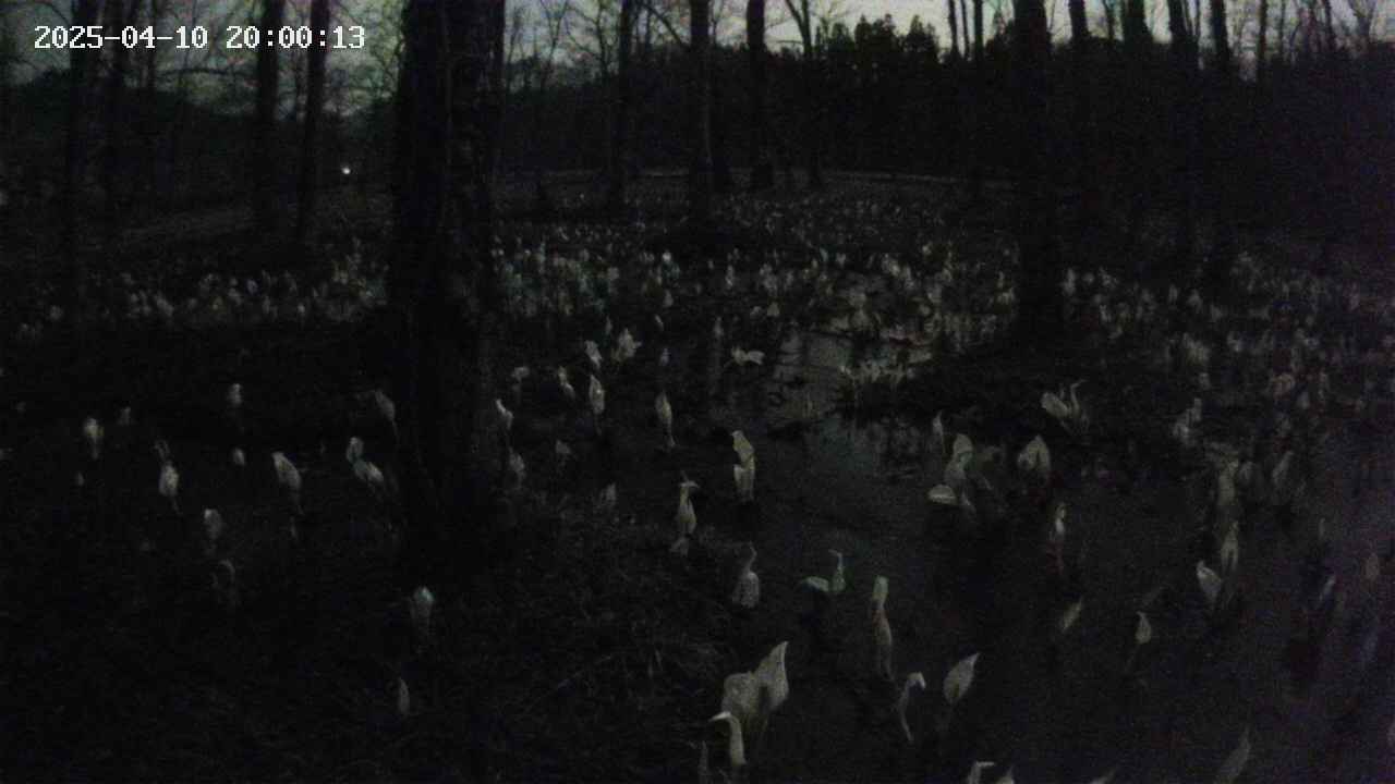 mizubasho1-20250410200015.jpg