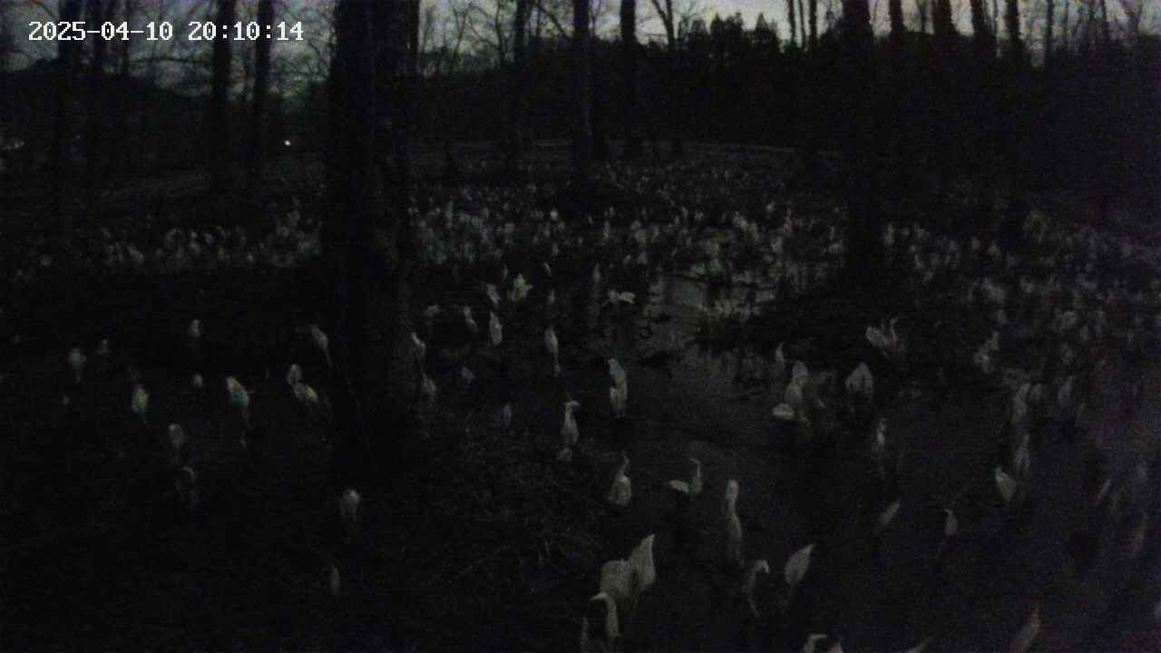 mizubasho1-20250410201015.jpg