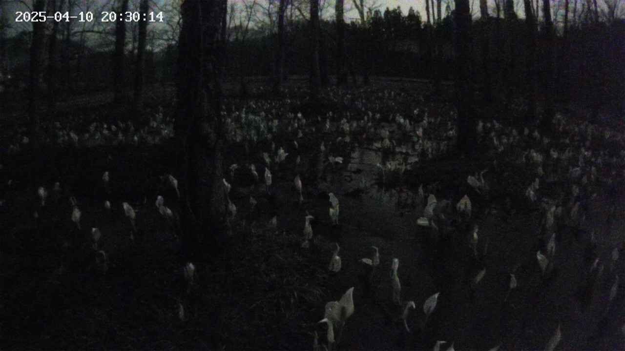 mizubasho1-20250410203016.jpg