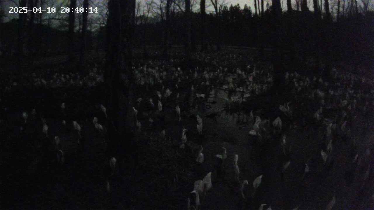 mizubasho1-20250410204015.jpg