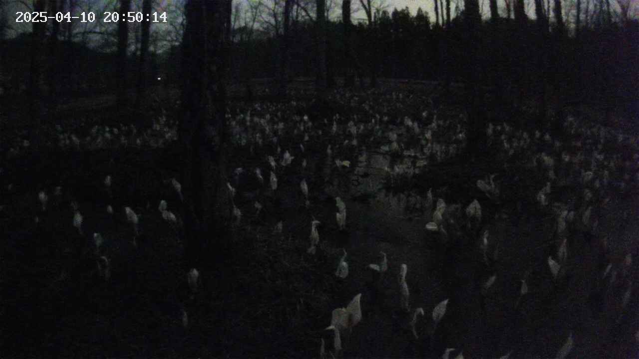 mizubasho1-20250410205016.jpg