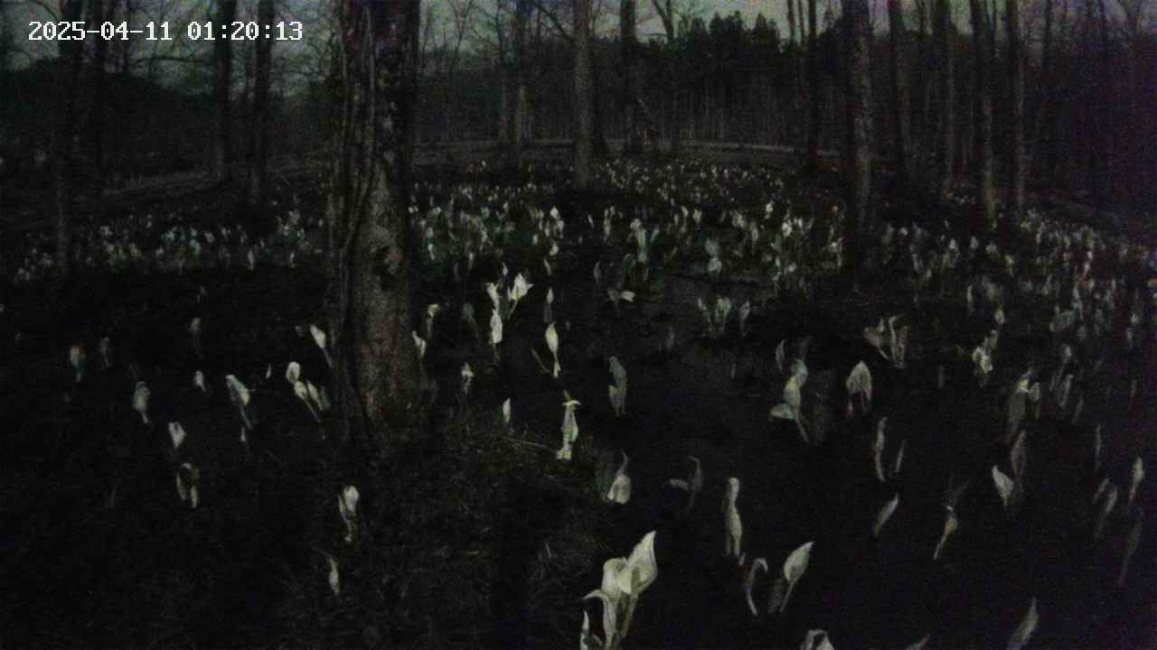 mizubasho1-20250411012015.jpg