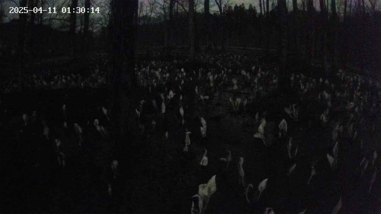 mizubasho1-20250411013015.jpg