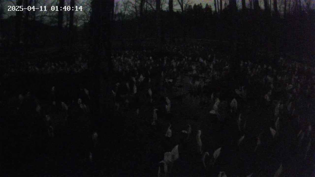 mizubasho1-20250411014015.jpg