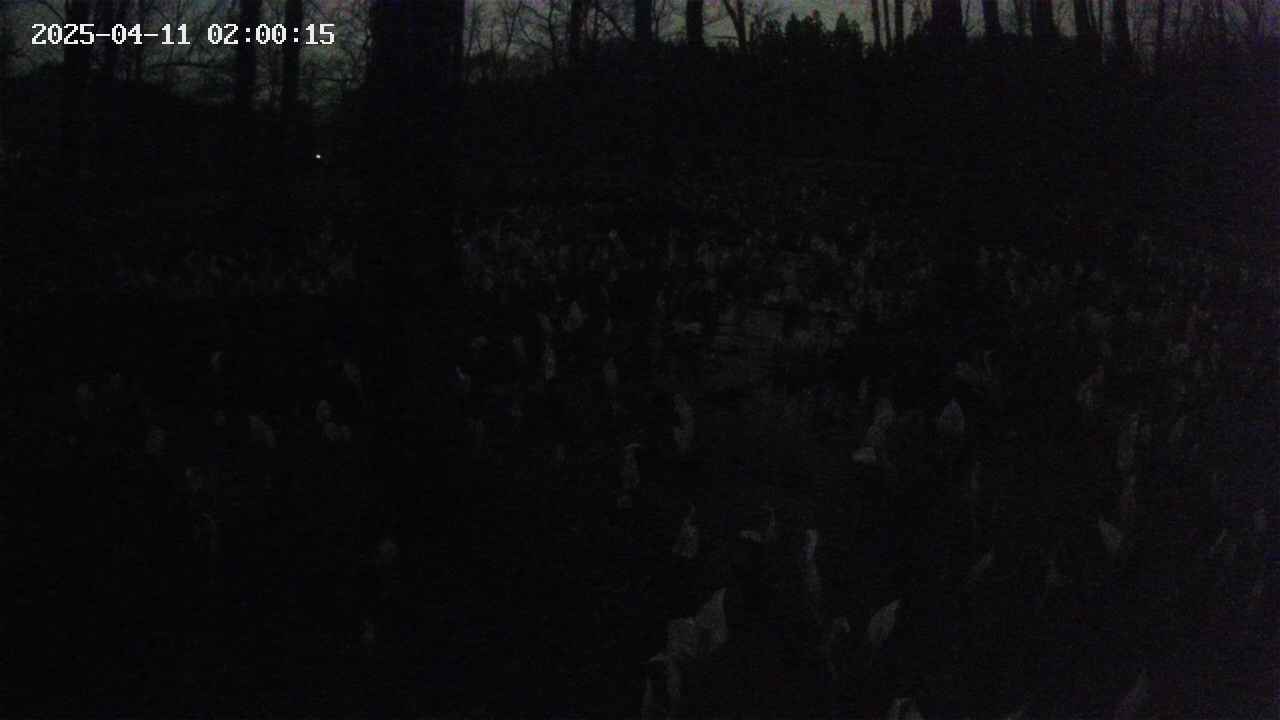mizubasho1-20250411020016.jpg