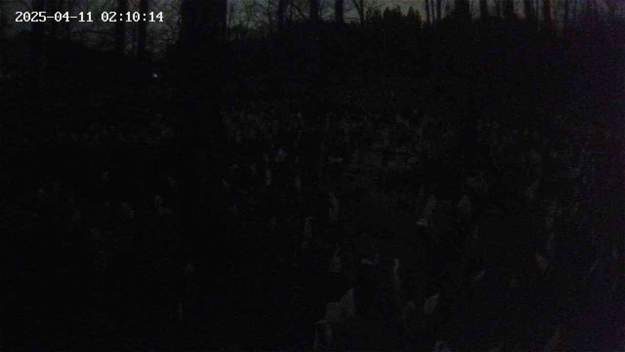 mizubasho1-20250411021015.jpg