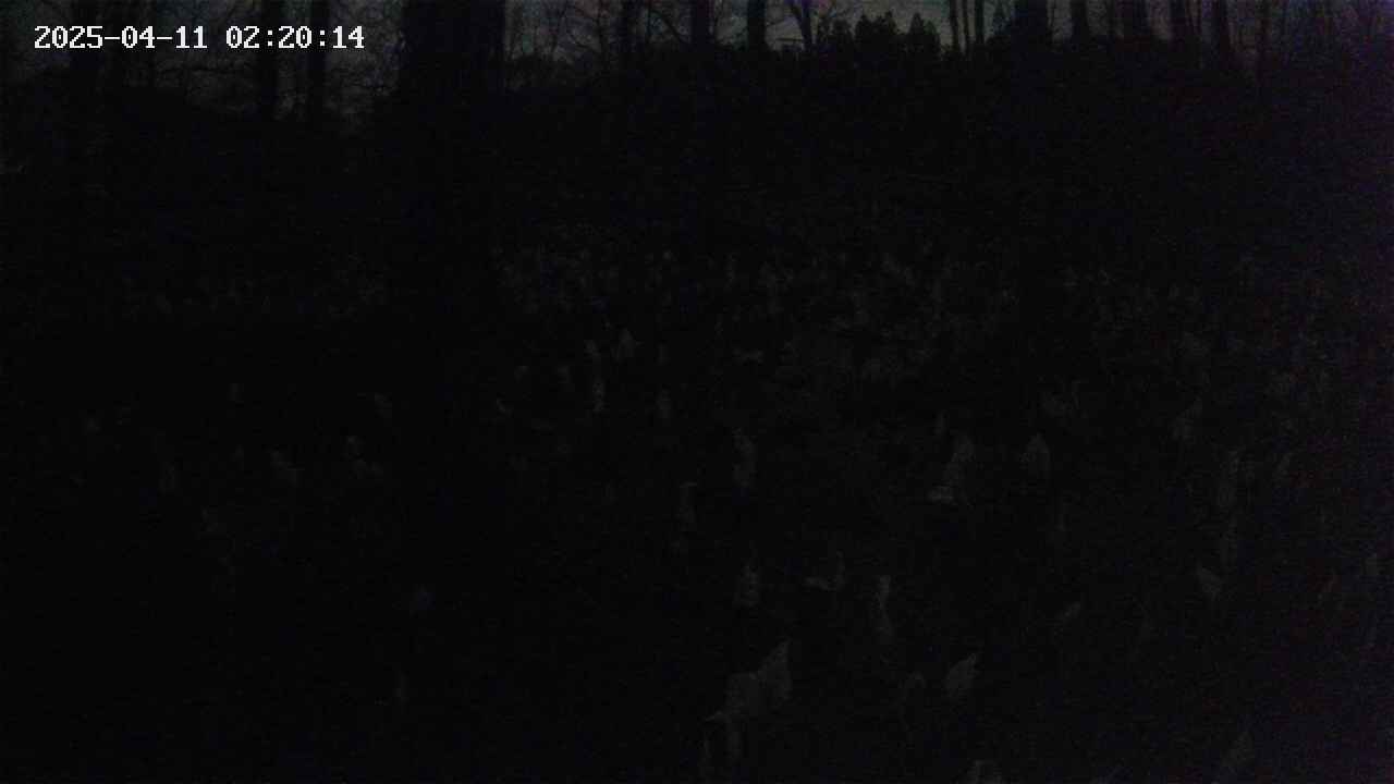 mizubasho1-20250411022015.jpg