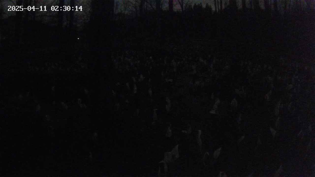 mizubasho1-20250411023015.jpg