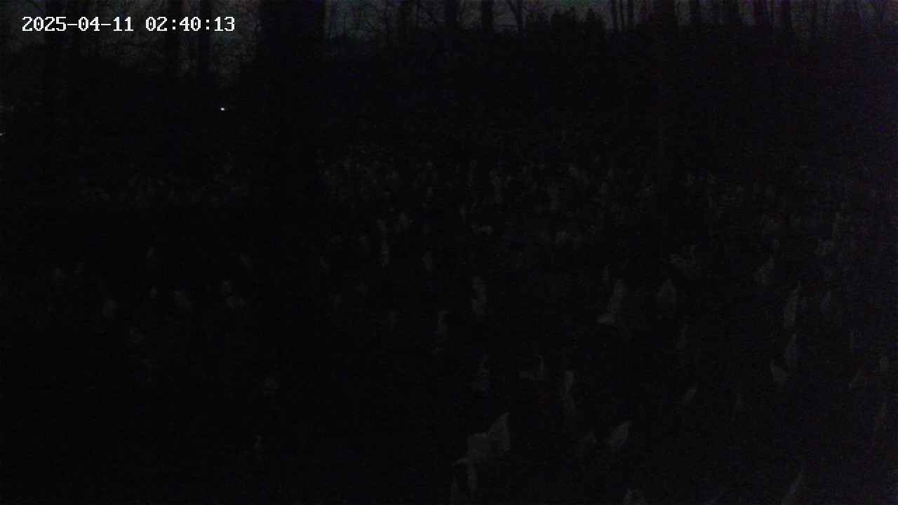 mizubasho1-20250411024014.jpg