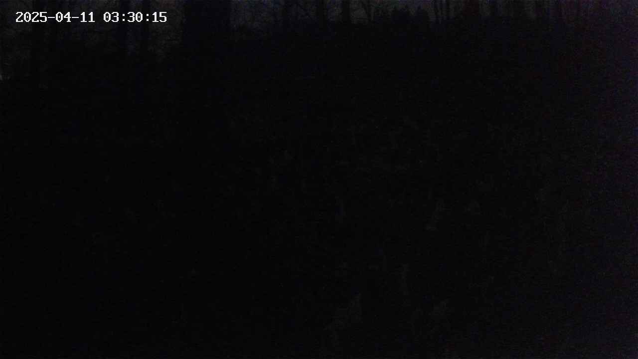 mizubasho1-20250411033016.jpg