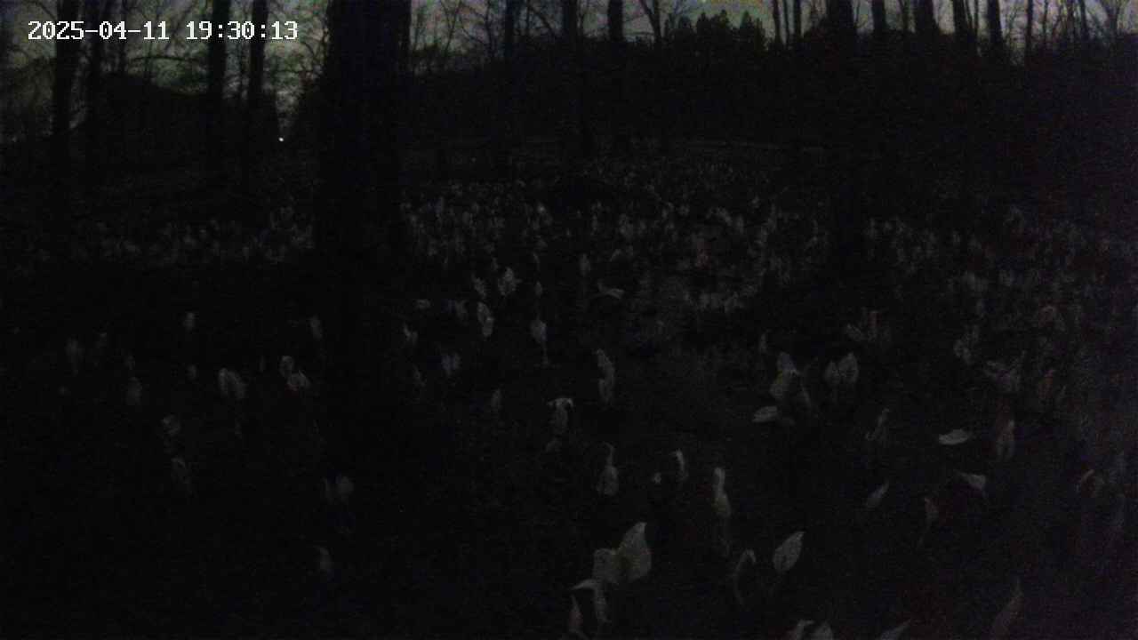 mizubasho1-20250411193014.jpg