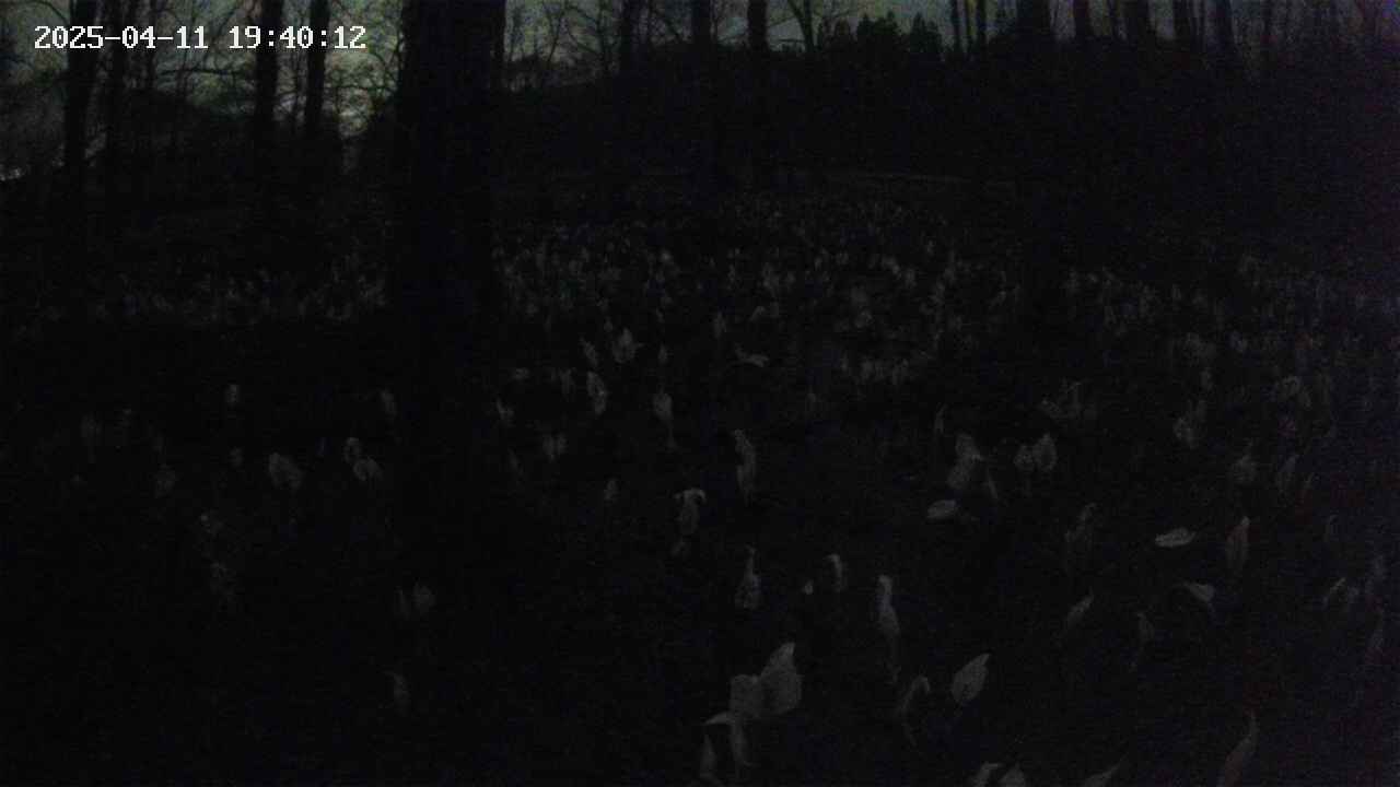mizubasho1-20250411194013.jpg