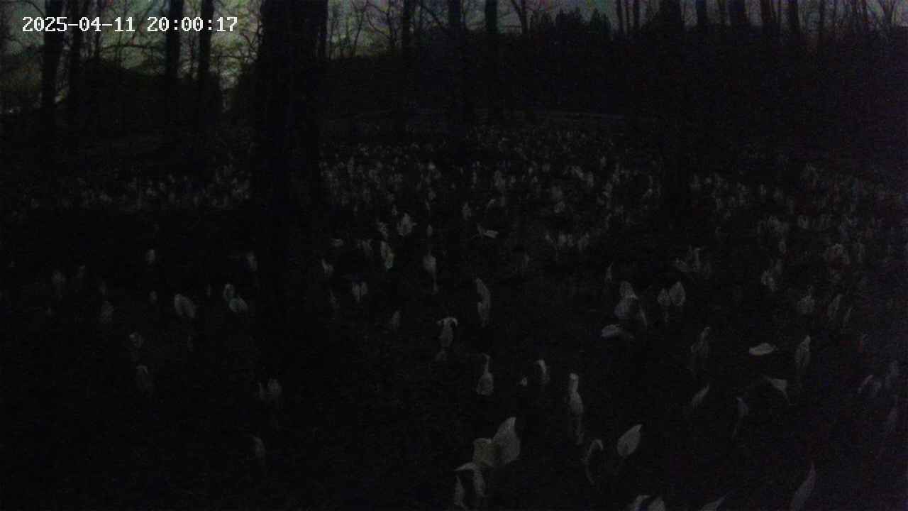 mizubasho1-20250411200017.jpg