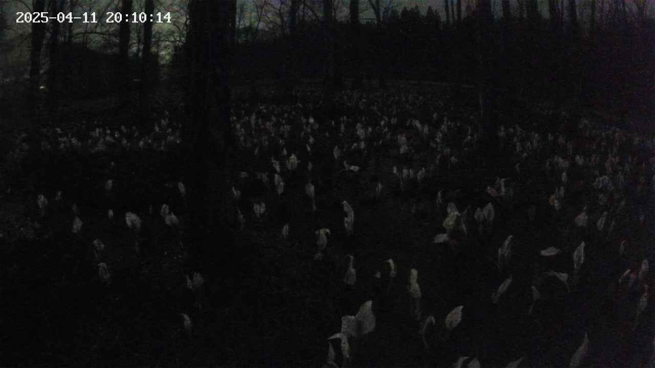 mizubasho1-20250411201015.jpg