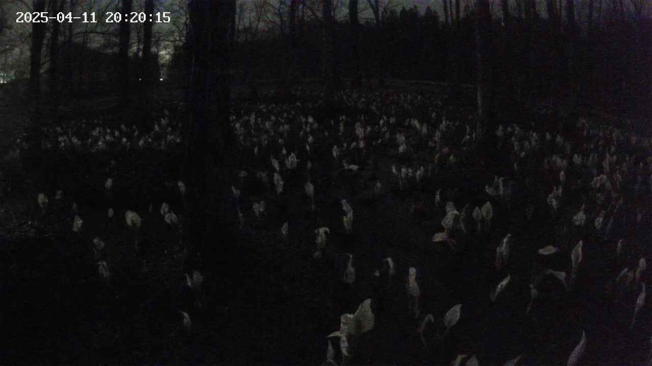mizubasho1-20250411202016.jpg
