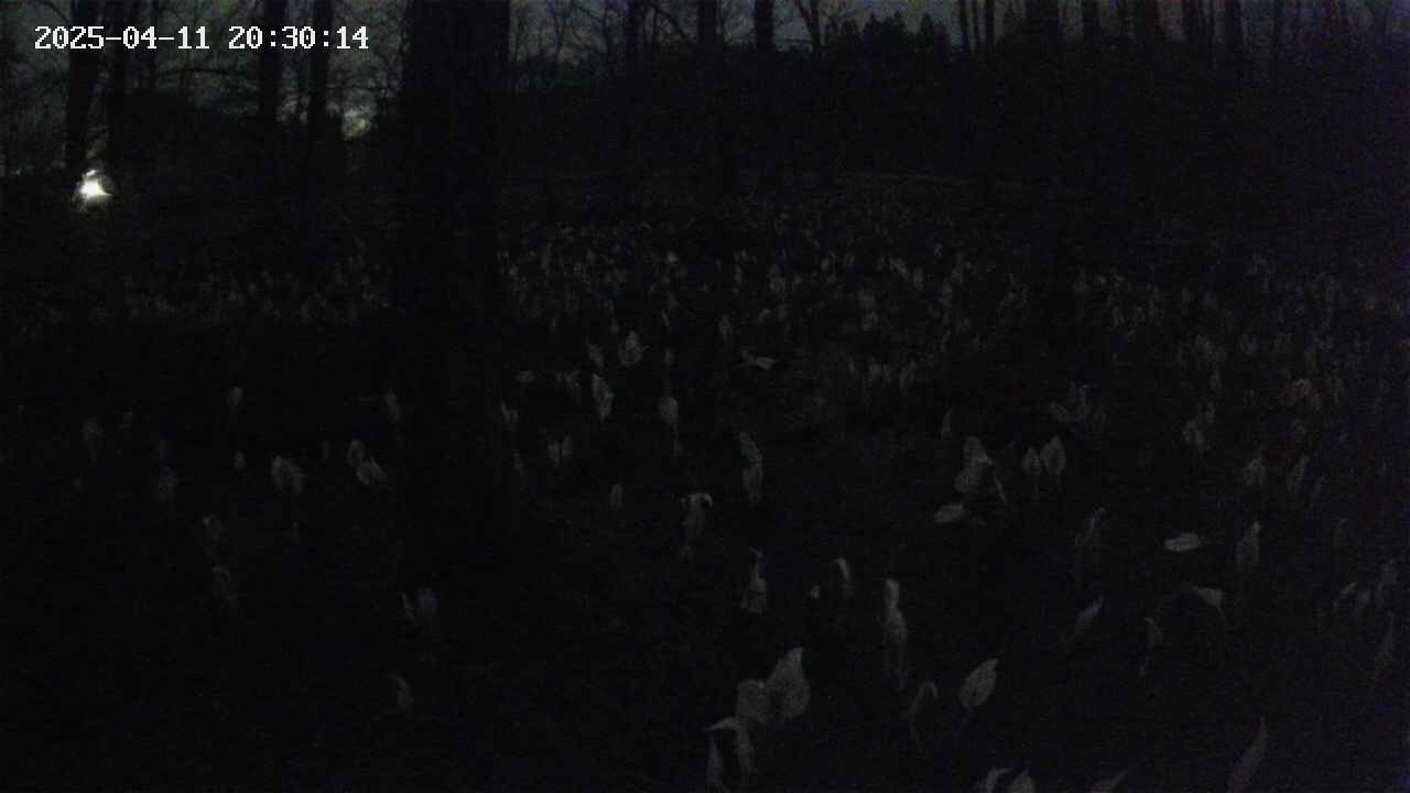 mizubasho1-20250411203015.jpg